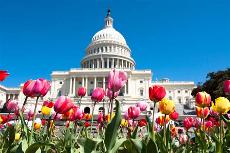 cheapest places to live in washington dc area
